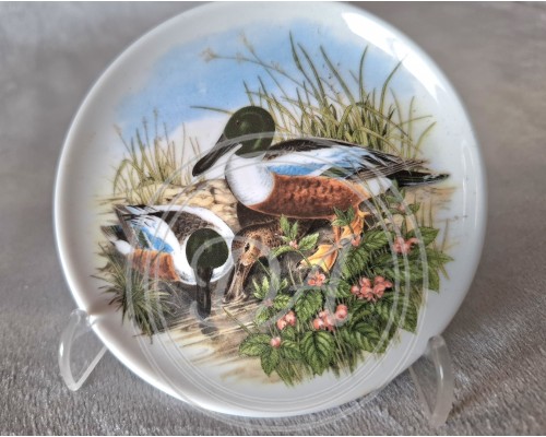 Set of collectible plates “Ducks” (1+3)Seltmann