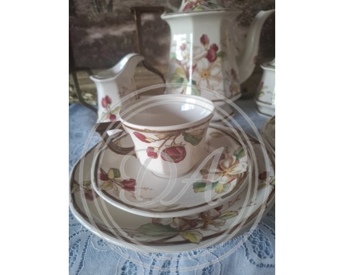 Villeroy&Boch 5 person service