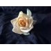 Antik Porcelain rose by Karl Ens 1900 -1920