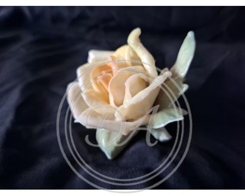 Antik Porcelain rose by Karl Ens 1900 -1920