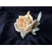 Antik Porcelain rose by Karl Ens 1900 -1920