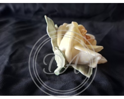 Antik Porcelain rose by Karl Ens 1900 -1920
