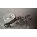 Caviar bowl , ancient Roman chariot, Italian