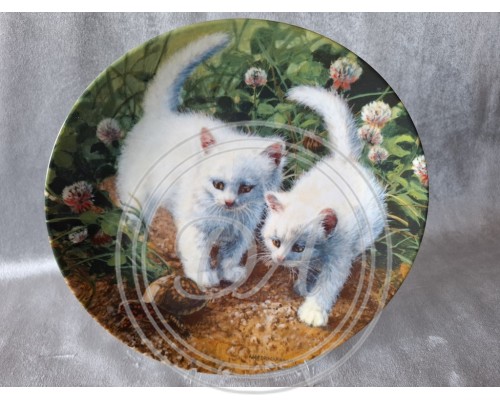 Collectible plate Kat
