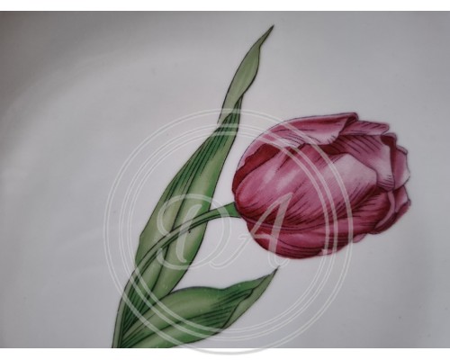 Seltmann Trio "Tulips"