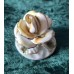 Porcelain Rose, Romania