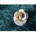 Porcelain Rose, Romania