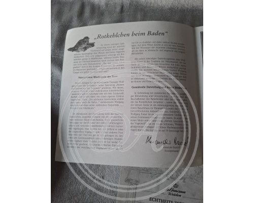 Seltmanns Sammlerteller „Badendes Rotkehlchen“