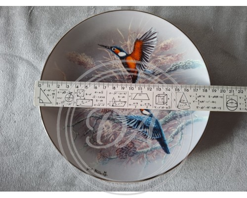 Rosenthals Sammlerteller „Schätze der Vogelwelt“