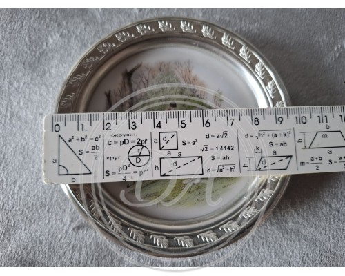 "Hunting" porcelain saucers in a pewter frame. Germany