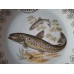 Service  antique Limoges "River fish" (12 persons)