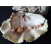 Terres d'Ailleurs Collection, Large Wooden Bead Necklace
