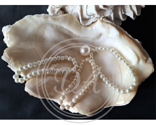 Elastic Pearl Beaded Bracelets, 3 Pcs, France