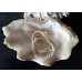 Elastic Pearl Beaded Bracelets, 3 Pcs, France