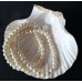 Elastic Pearl Beaded Bracelets, 3 Pcs, France