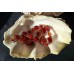 Vintage Carnelian (Sard) Necklace